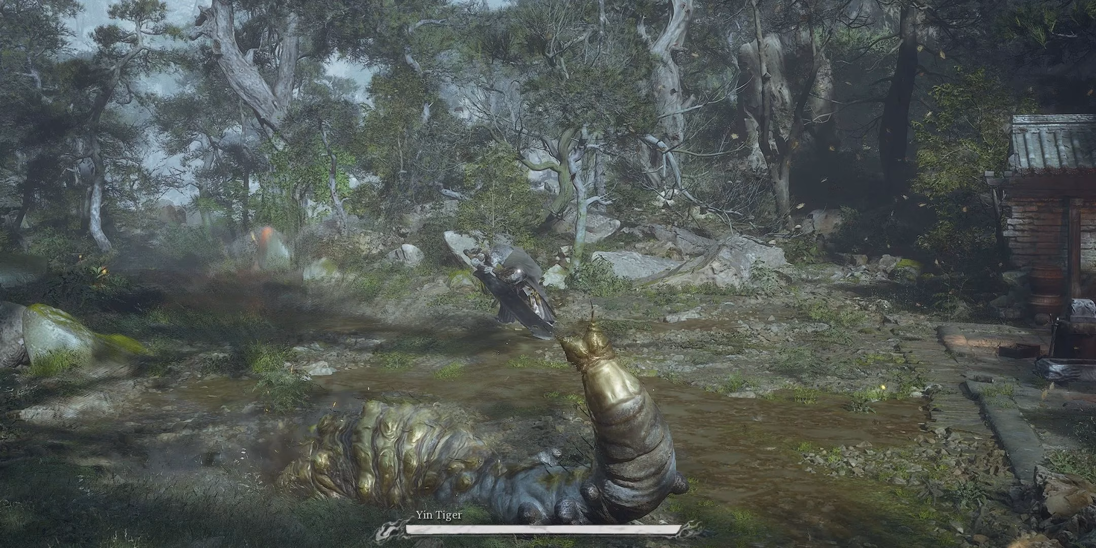 the-secret-metamorphosis-unraveling-the-elder-amourworm-s-journey-image-5